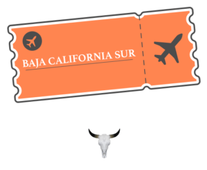 Baja California Sur flight ticket illustration