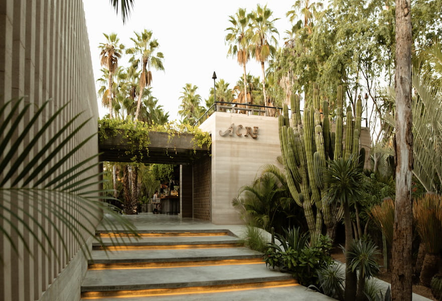 Acre Treehouse Hotel main entrance decorated with cactuses and palm trees with lighted steps at the front.
