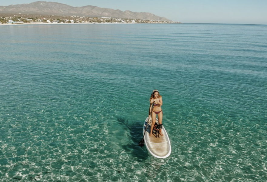 A woman with a brown bikini with a black dog practicing paddle-boarding in the turquoise waters of La Ventana BCS.