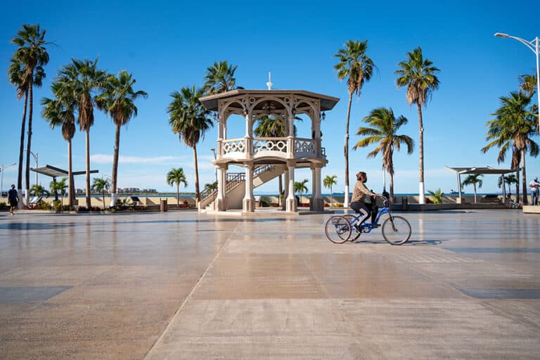 Things to do in La Paz Mexico