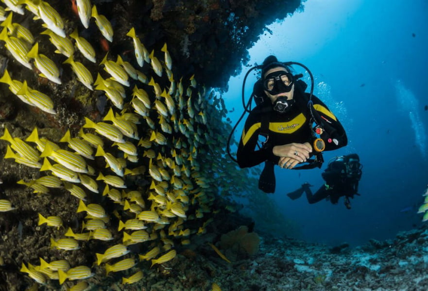 Two scuba divers swimming next to a yellow fish shoal at Cabo Pulmo National Park in Mexico.