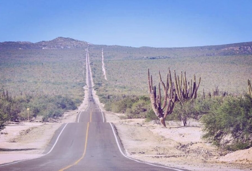 Highway to La Ventana BCS Mexico, in the middle of a cactus forest and with clear blue skies.