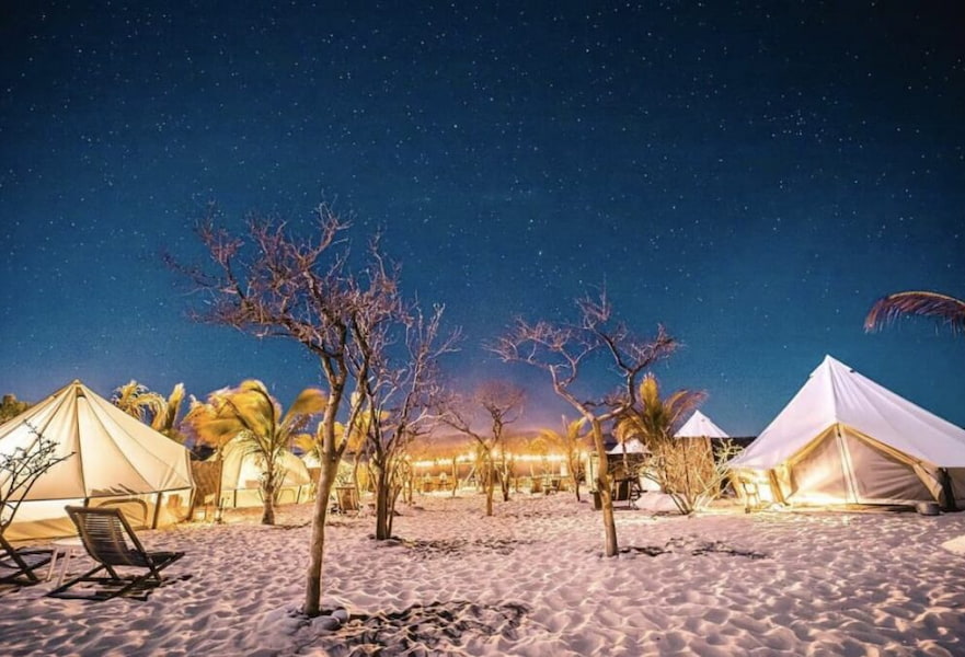 Stargaze in a glamping resort with lighted tents and desert trees La Ventana BCS.