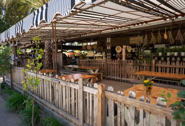 Flora Farms or ACRE Which is for you? Baja California Sur