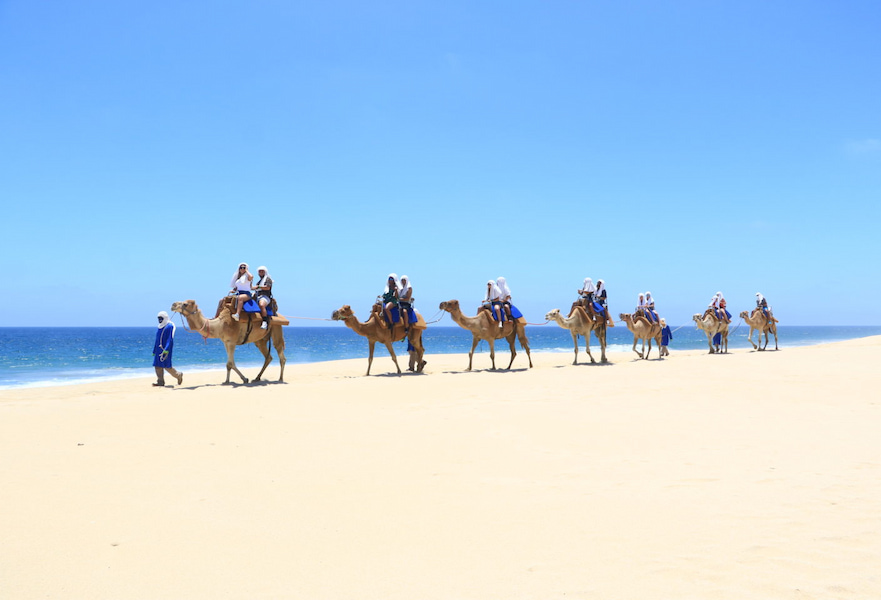 Seven camels walking in line with two people each, following a tour guide on the beach in Cabo San Lucas, Mexico.