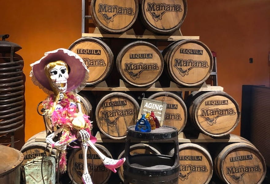 Mexican skull lady manikin seated with tequila samples and barrels in Hacienda Tequila in Cabo San Lucas