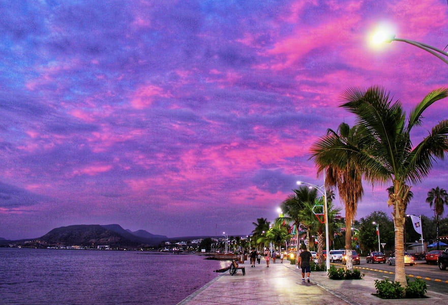 La Paz city Malecon during sunset with purple skies and palm trees on the side.