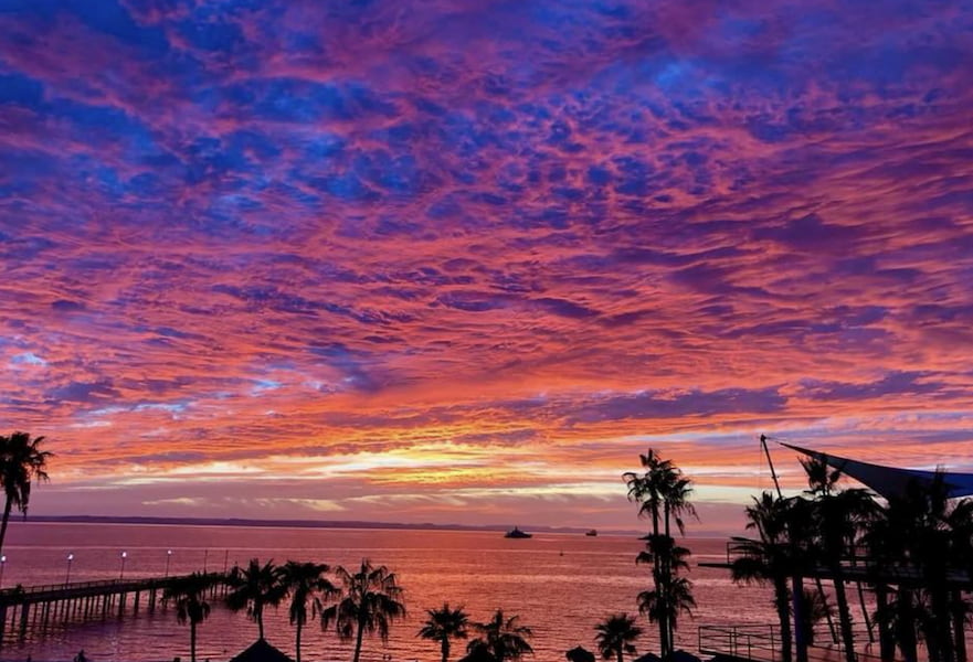 La Paz Mexico Malecon sunset with pink cloudy skies and blue, yellow and purple tones with black palm tree silhouettes.