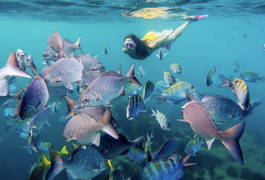 One young lady snorkeling with behind a colorful fish shoal near the surface