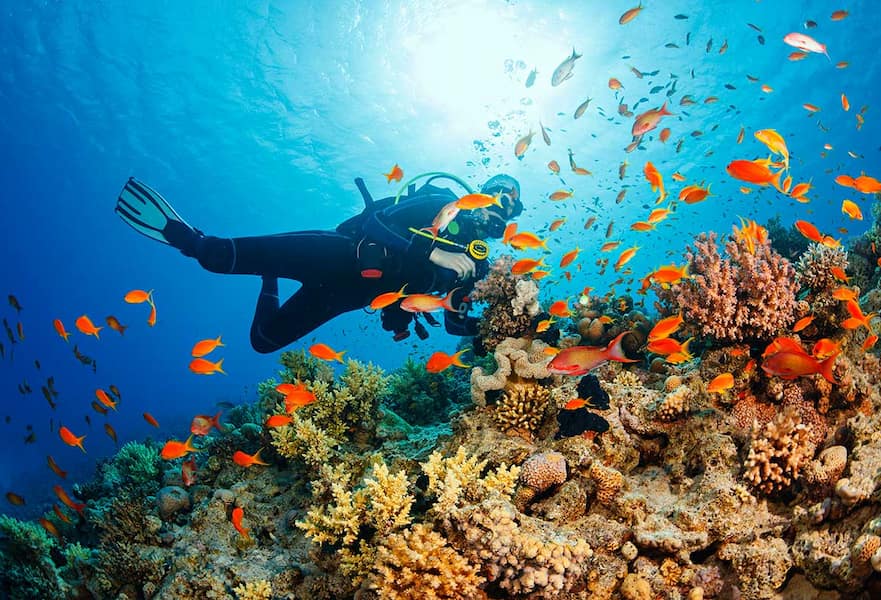A scuba diver swimming above a beautiful coral reef surrounded by an orange fish shoal.