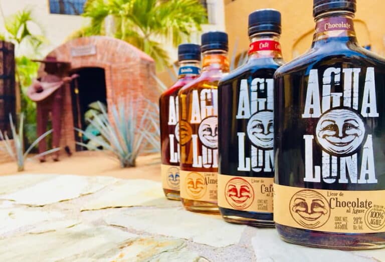 Tequila Tasting Cabo San Lucas, Mexico 6 Best Tours 2022 Baja