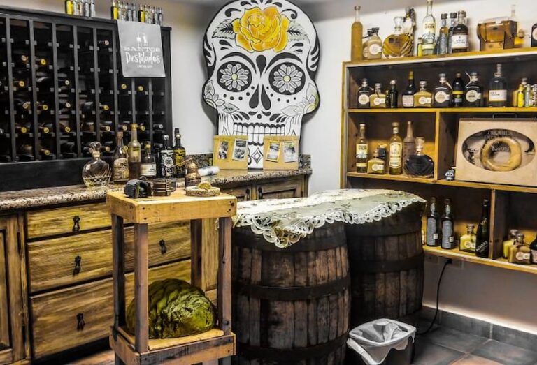 Tequila Tasting Cabo San Lucas, Mexico 6 Best Tours 2022 Baja California Sur