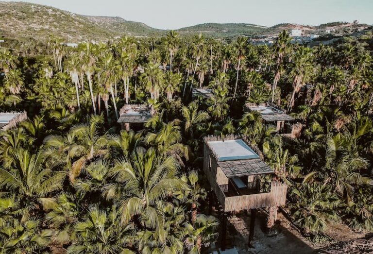 flora-farms-or-acre