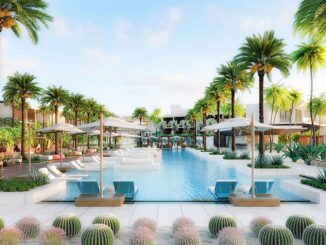 Nobu Hotel main poolside with palm trees on the sides. Los Cabos Mexico Luxury Hotels.