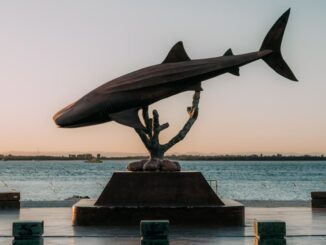 Whale statue of a whale in La Paz Mexico