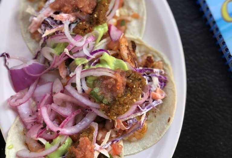 Our 5 Best Restaurants in San Jose Del Cabo Baja California Sur