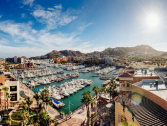 Aerial view of the Marina with dozens of sailboats, palm trees and blue skies, Cabo San Lucas, Mexico.