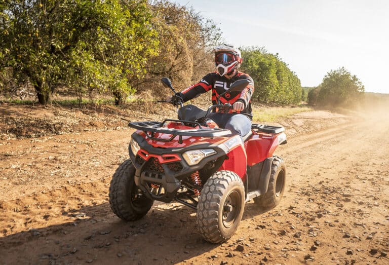 best tours in Los Cabos