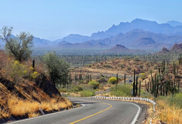 drive_baja_california