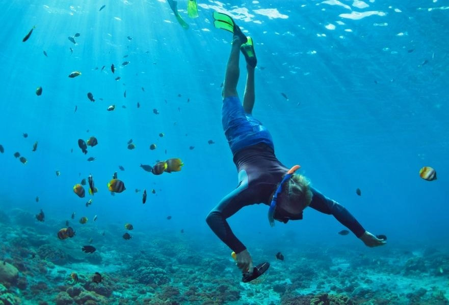 Underwater shoot of snorkeling man, with crystal clear water and coloured fish, Loreto BCS Mexico