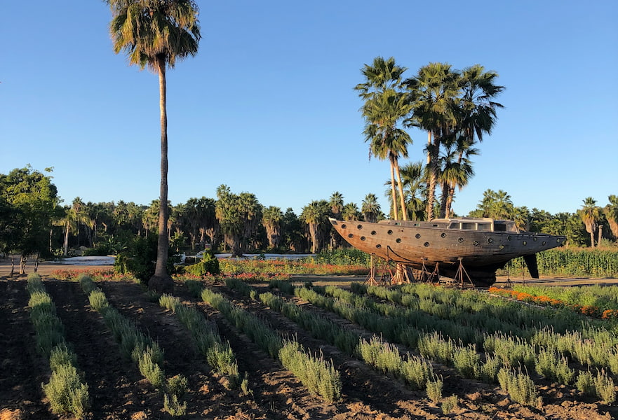 Panoramic sight of cultivated fields with towering palm trees and a wooden boat ornament.