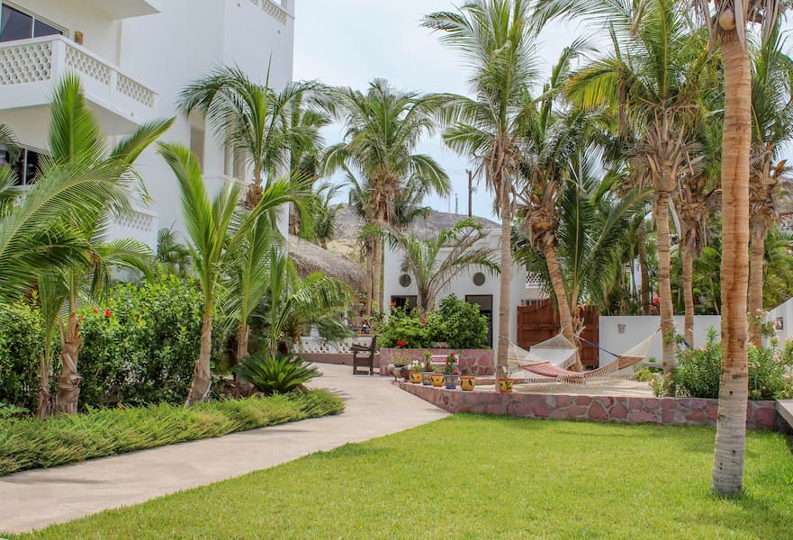 Garden space with palm trees and hammocks at Casa Costa Azul in San José del Cabo, Mexico