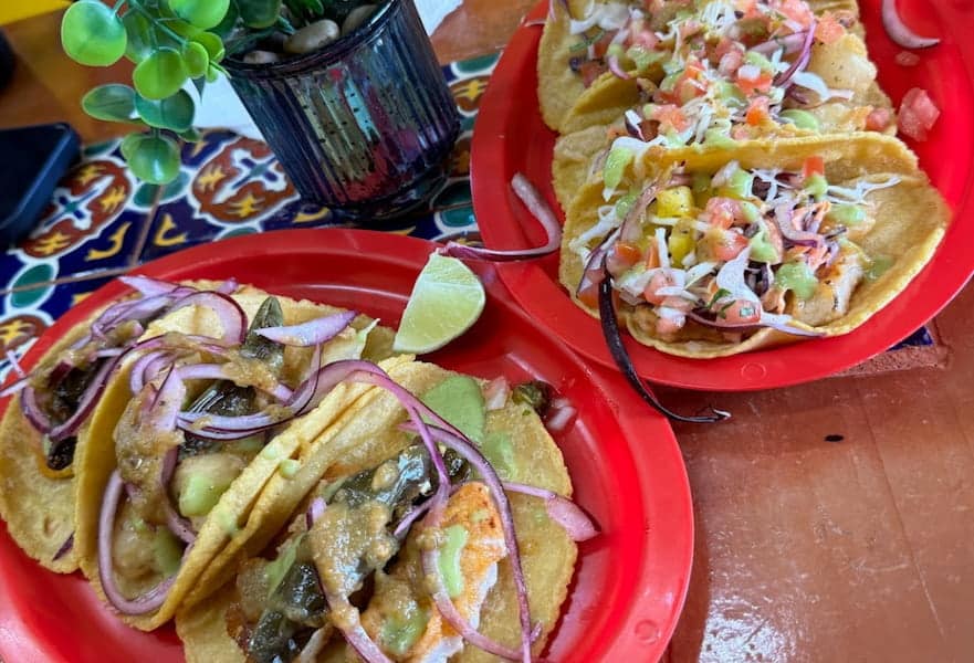 Two plates filled with traditional battered fish tacos in Los Cabos Mexico