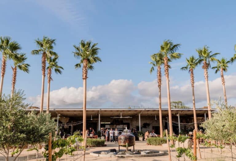 10 Best Cabo San Lucas Restaurants
