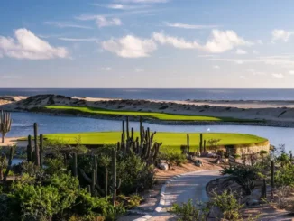 Golf course with panoramic ocean views and cacti in Cabo San Lucas